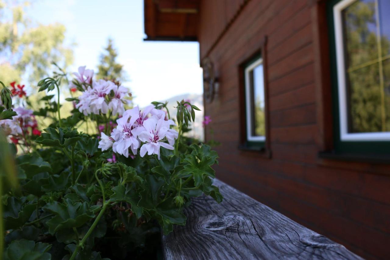 Ferienhaus Am Muehlbach Gams bei Hieflau Exterior foto